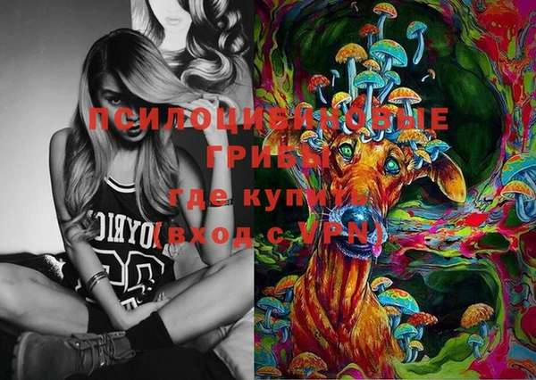 спайс Мегион