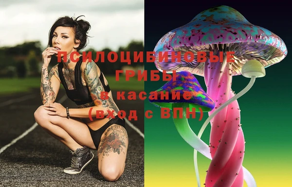 крисы Медвежьегорск