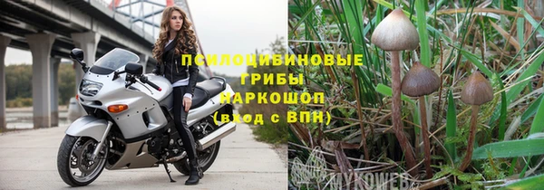 прущая мука Медногорск