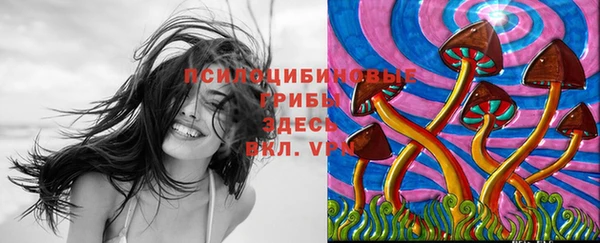 спайс Мегион