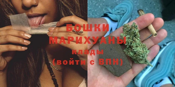 крисы Медвежьегорск